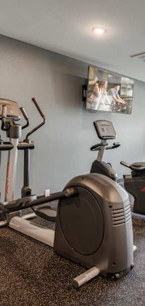 A gym with a rowing machine, a treadmill, and a stationary bike.
