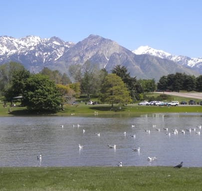 a lake with birds on it with mountains in the background