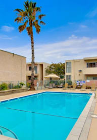 A swimming pool in front of a building with a palm tree.