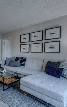 a living room with two couches and a coffee table