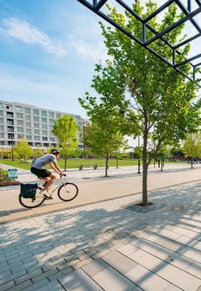 a man riding a bike in a park with trees