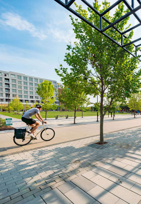 a man riding a bike in a park with trees