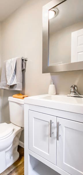 a bathroom with a toilet and a sink and a mirror