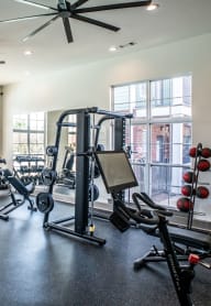 a gym with weights and other exercise equipment and windows at Grand Island Apartments in Memphis TN 38103