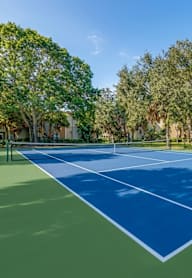 A tennis court surrounded by trees on a sunny day.