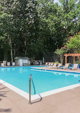A large outdoor swimming pool surrounded by trees and lounge chairs.