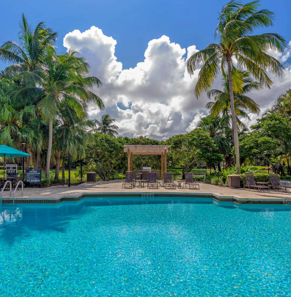 a large swimming pool with palm trees in the background