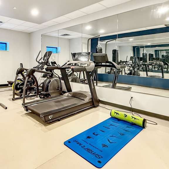A gym with a punching bag, treadmill, and exercise bikes.