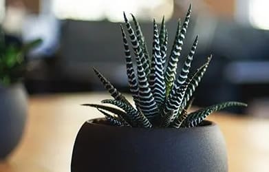 Baycliff Apartments Apartments In North Richmond