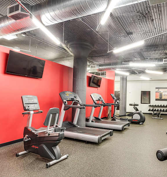 A gym with a variety of equipment including treadmills, elliptical machines, and weight machines.