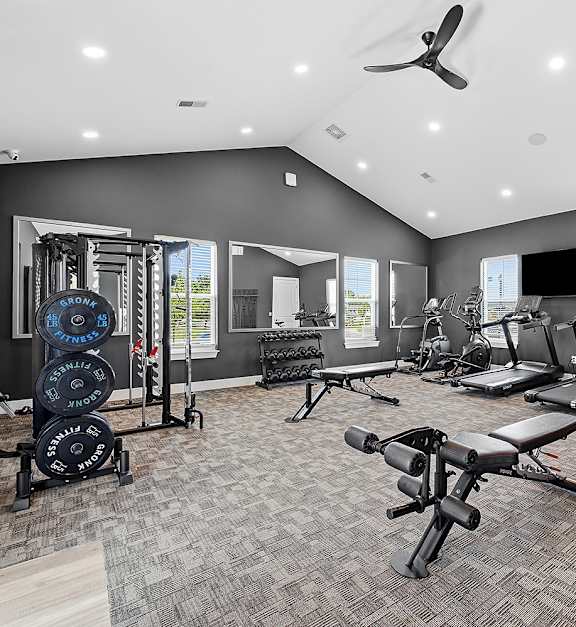 the gym in the owner s suite is equipped with a treadmill and weights