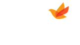 A logo for Paloma Apartment Homes with a leaf graphic.