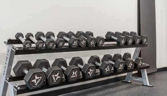 a row of dumbbells on a shelf in a gym at Lofts at 335, Stratford, CT