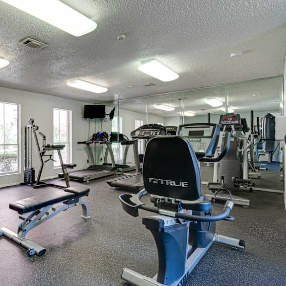 A gym with a variety of equipment including a rowing machine, a bench, and a weight machine.