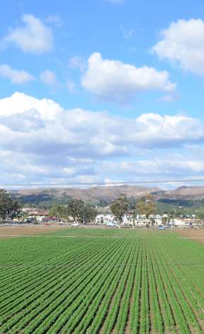 A view of a field from a window.