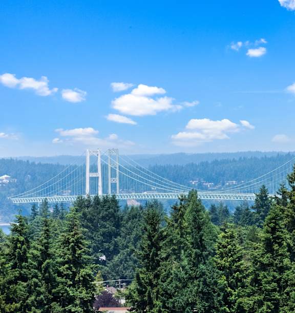 A bridge spans across a valley with trees in the foreground.