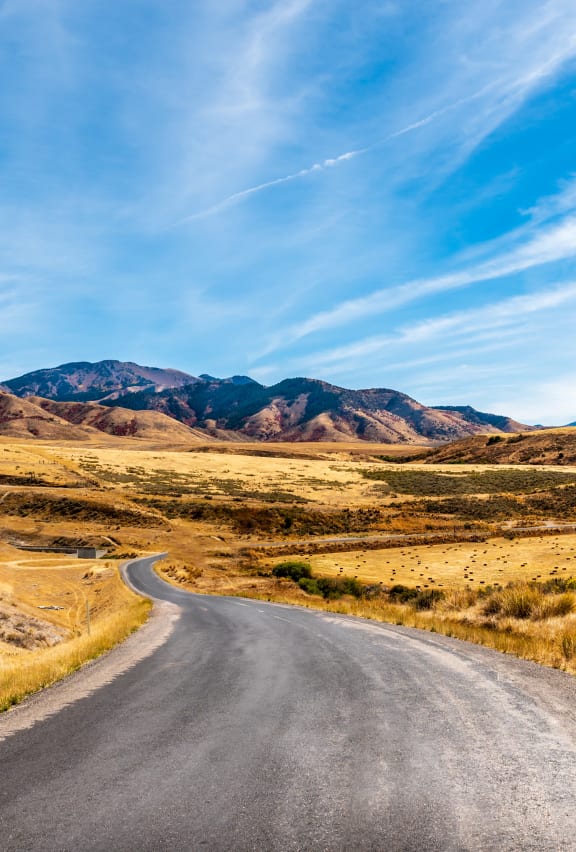 landscape of mountains with a road going down the middle and yellow grass