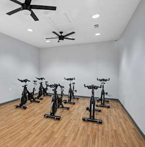 A room with a white wall and a wooden floor with a row of exercise bikes.