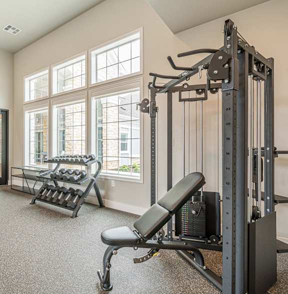 A gym with a variety of equipment including a squat rack, a leg press machine, and a rowing machine.