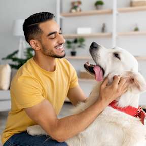 A man in a yellow shirt is petting a white dog with a red collar.