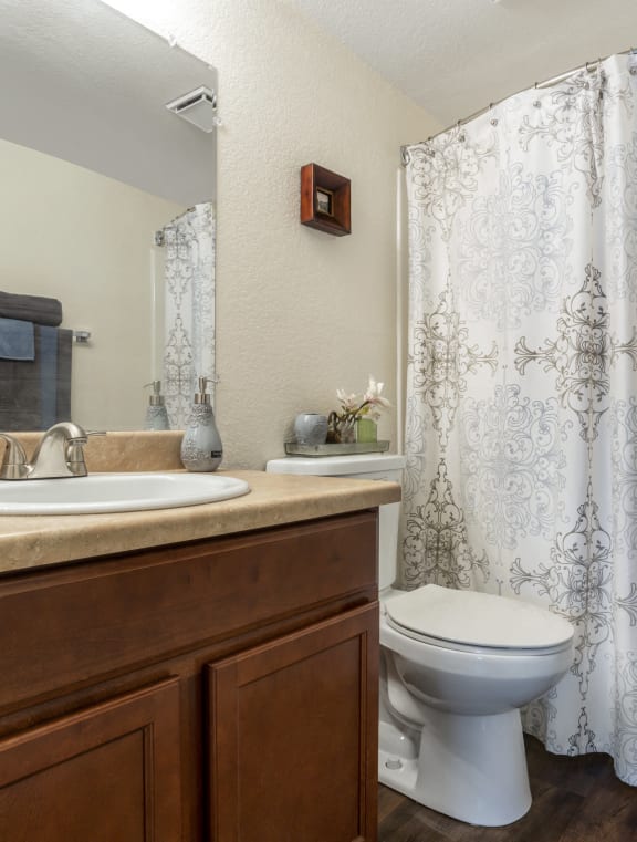 Bathroom with Soaking Tub at Bent Tree