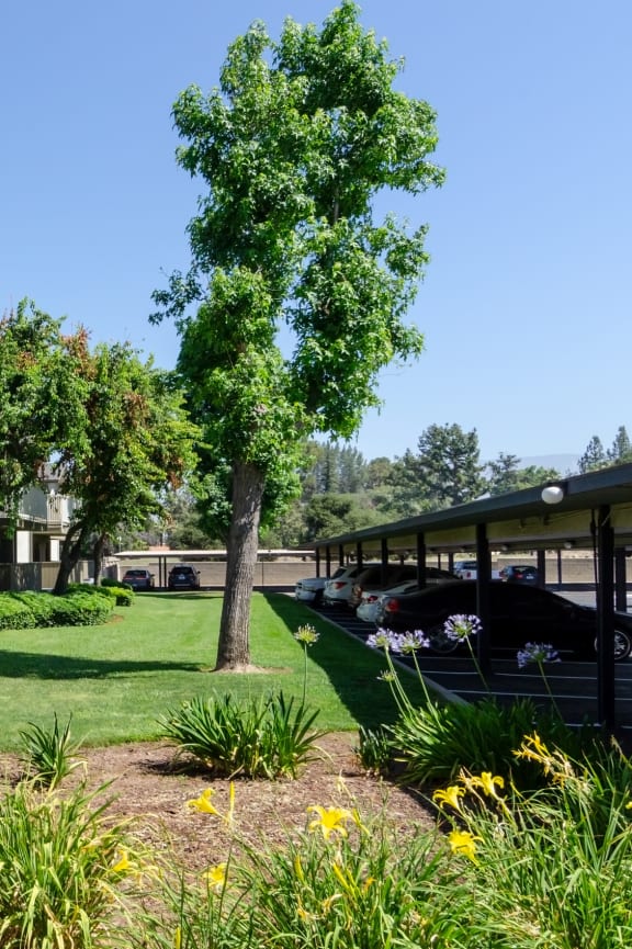 an apartment building with a lawn and trees in front of it at Aspire Redlands, California