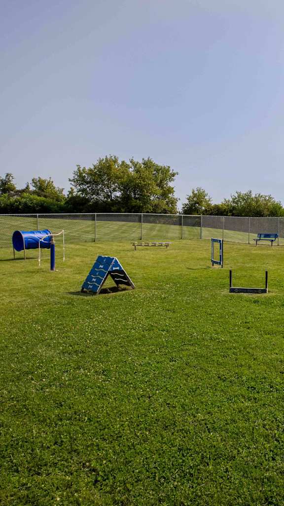 Pet Park at Pine Ridge Apartments, Michigan, 48307