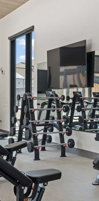A spacious gym with a variety of equipment including treadmills, weight machines, and free weights.