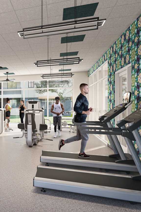 A gym with a row of treadmills and elliptical machines.