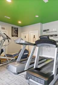 A gym with a green wall and a sign that says "Ability".