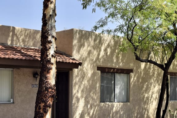 3440 E Flower St at San Xavier Casitas, Tucson, AZ, 85716