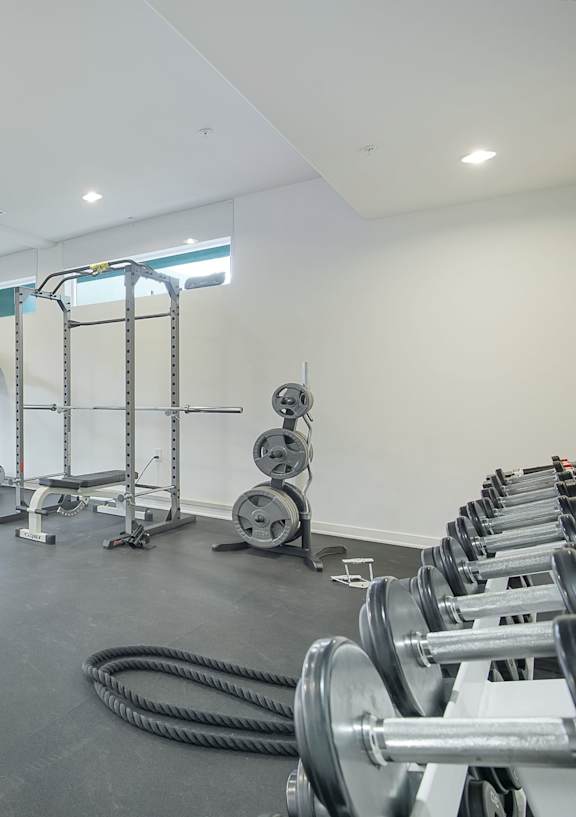 A gym with a variety of equipment including treadmills, weights, and exercise machines at Valley Street Apartment, Los Angeles, CA, 90057