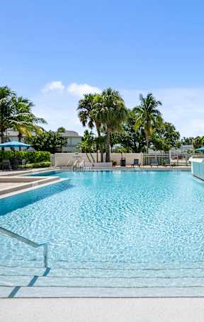 A swimming pool with a clear blue sky and palm trees in the background.