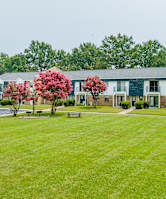 Lush Green Lawn at Liberty Crossing, North Carolina