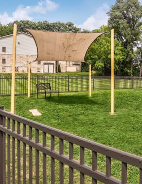 Pet park with metal fence around it. There is a little shaded area in the corner of the park.  
