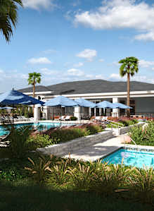 A pool surrounded by palm trees and umbrellas.