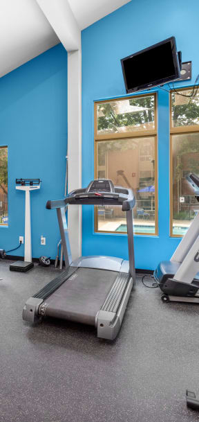free weights and cardio machines at the enclave at woodbridge apartments in sugar land, tx