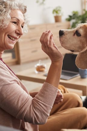 A woman is feeding a dog in a living room.