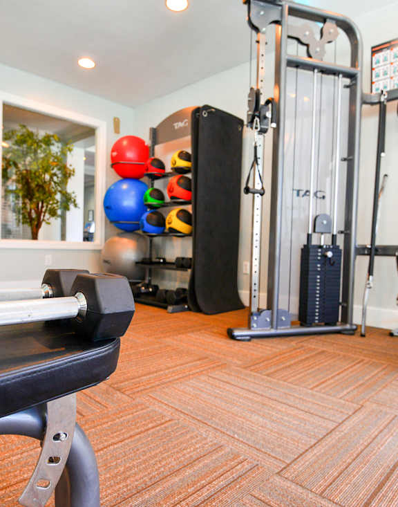 A home gym with a variety of equipment including a squat rack, bench, and weights.