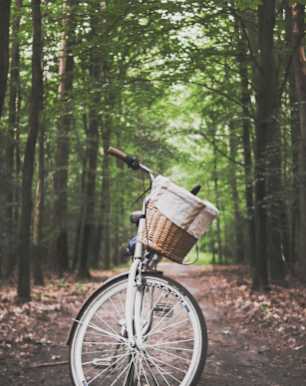 A bike parked outside a park, with greenery and walking paths in the background.