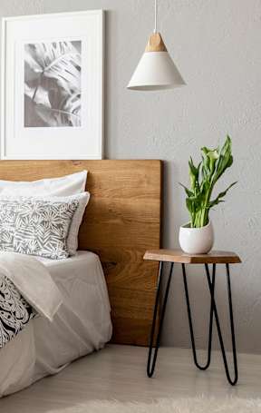 A bedroom with a bed, a shelf with plants, and a rug on the floor.
