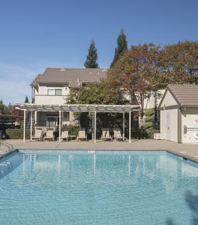 Stanford Heights apartments pool with a pergola and lounge charis 