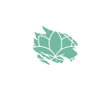 The Lotus at Village Walk