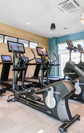A gym with treadmills and elliptical 
