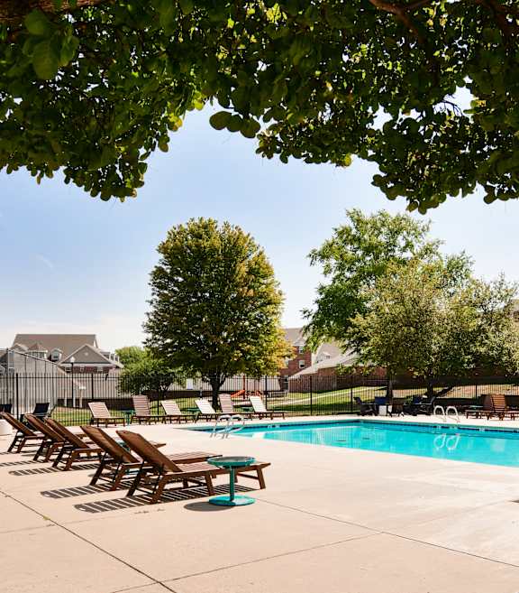 A pool surrounded by trees and chairs.