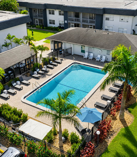 A pool surrounded by palm trees and lounge chairs.