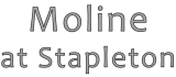 Moline at Stapleton