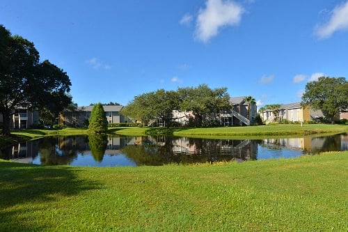 Lake view at Aventine at Forest Lakes Apartment Homes, Oldsmar, FL, 34677