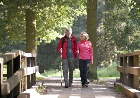 Couple Walking Over Bridge Near Trees