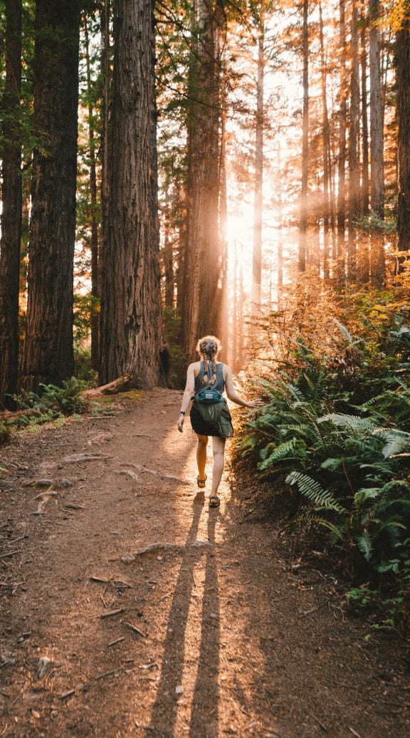 Woman on Hike in Forest